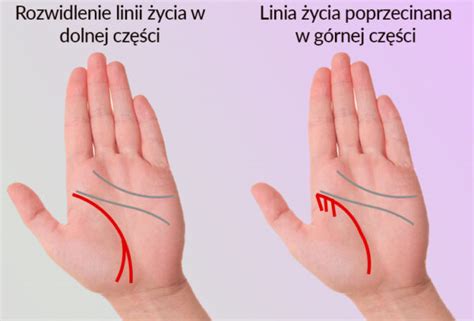 styl nie do podjebania jak papilarna linia